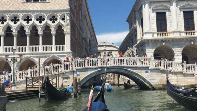 Venice dreams and parenting goals