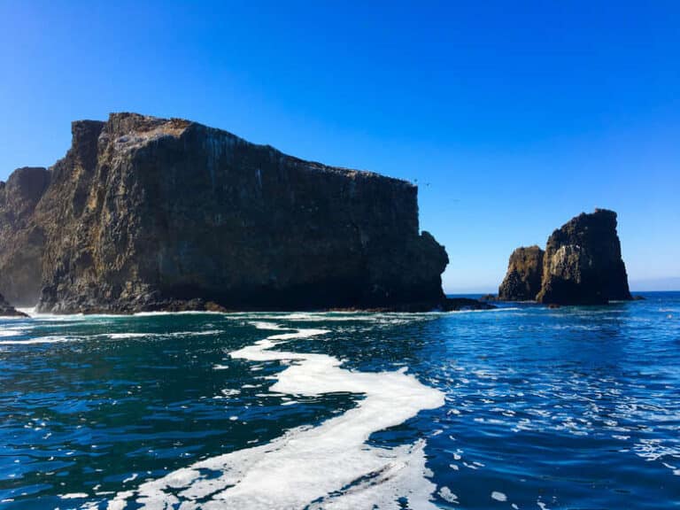 Adventure to The Channel Islands National Park