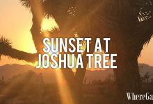 Sunset at Joshua Tree (1)