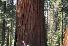 Zanne at Sequoia National Park.