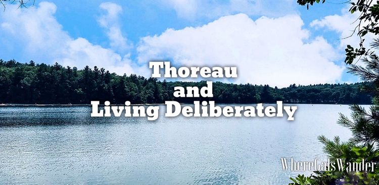 Thoreau Walden Woods Hiking WhereGalsWander