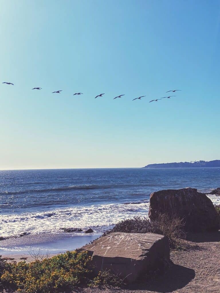 The Pacific Coast Highway