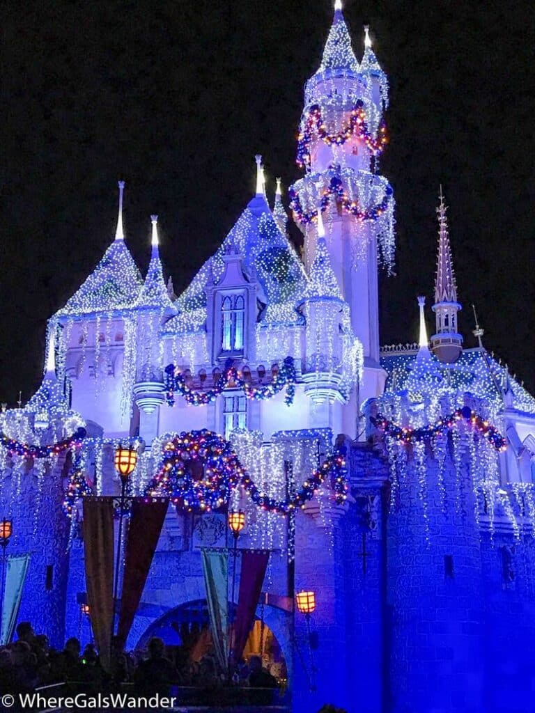 Disneyland Castle  at Christmas