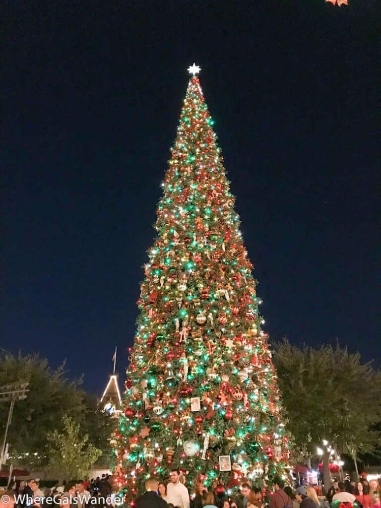 Disneyland Christmas Tree