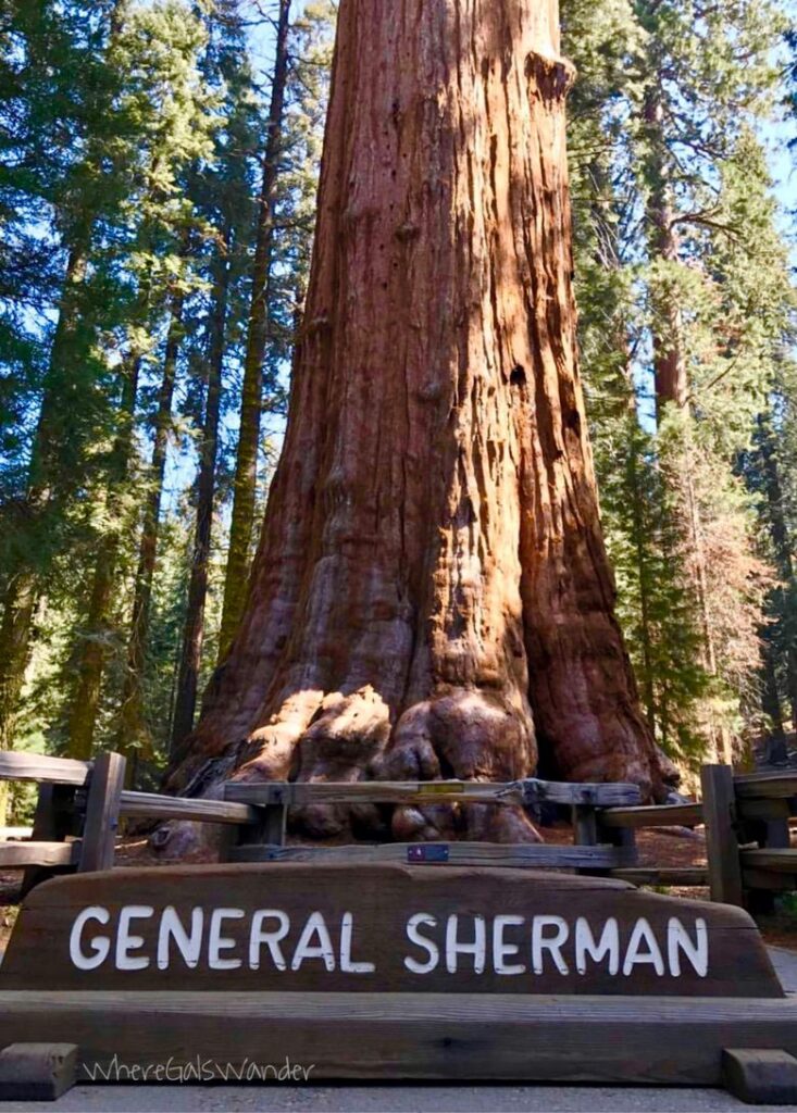 General Sherman, Kings's Canyon National Park
Top 10 National Parks
National Parks Top 10