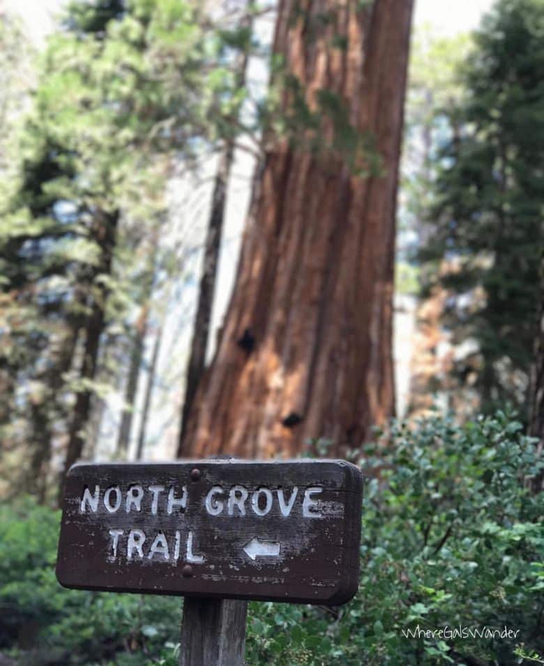 Kings Canyon National Park
WhereGalsWander