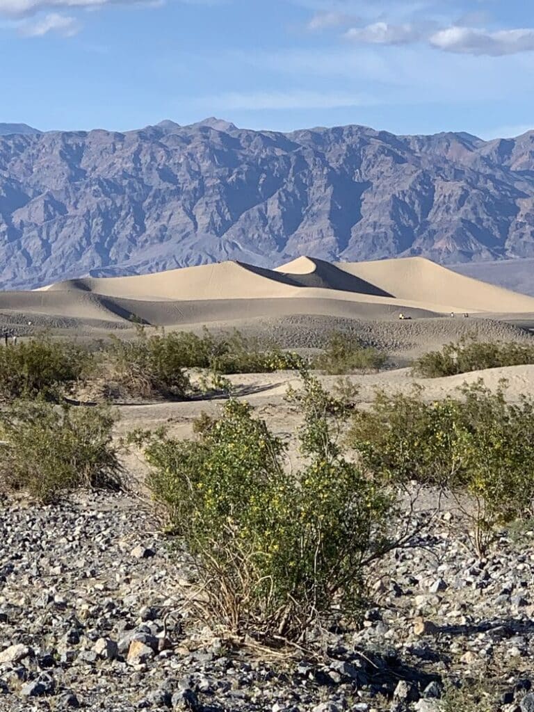 Death Valley National Park
Top 10 National Parks
WhereGalsWander