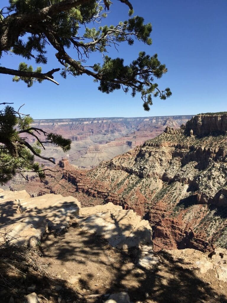  Grand Canyon National Park, one of our favorite national parks.
WhereGalsWander