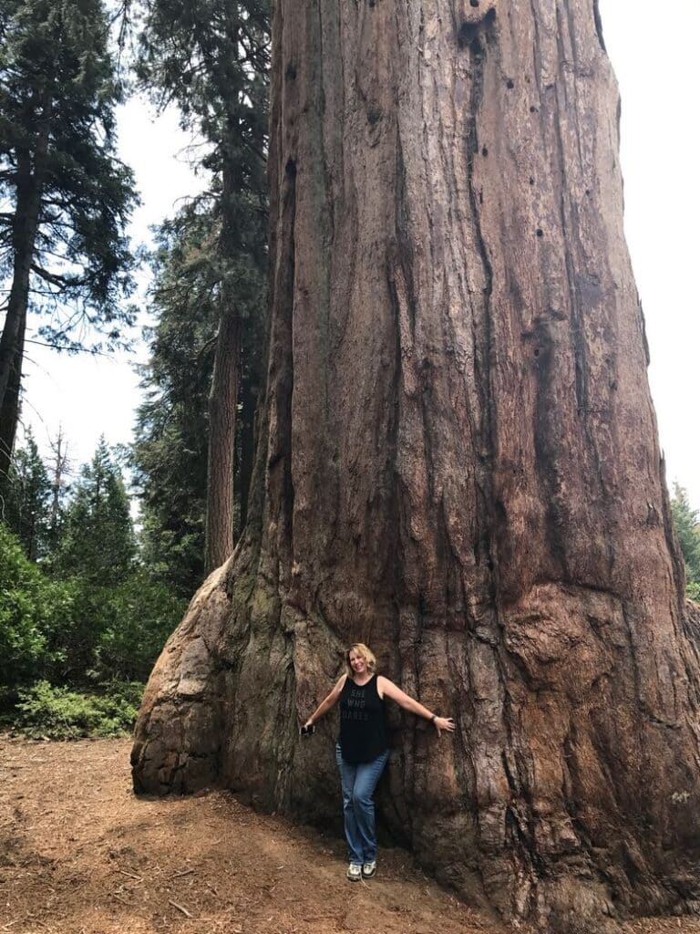 Zanne, hugging that giant sequoia
WhereGalsWander