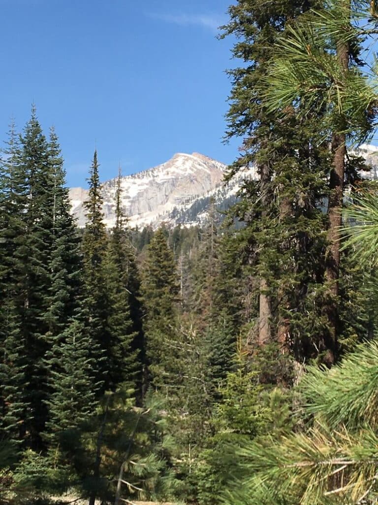 The Majestic Kings Canyon National Park 
WhereGalsWander
National Parks Top 10