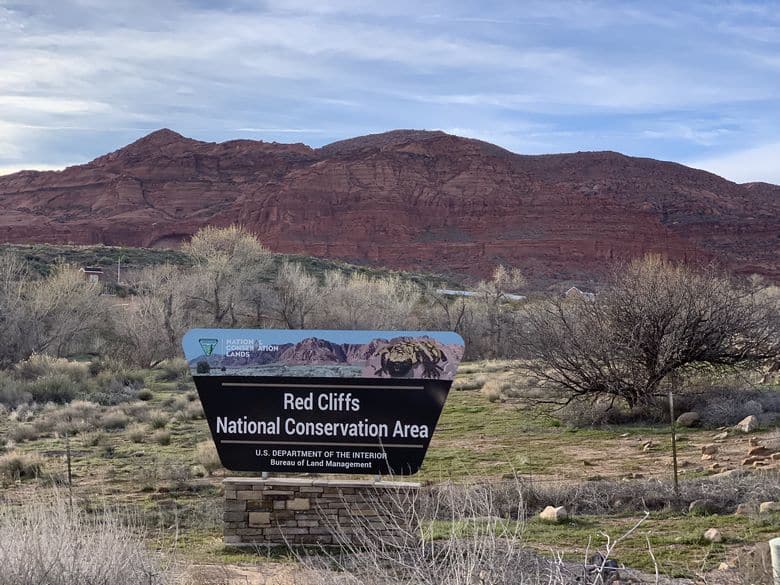 A must see stop on our road trip from Los Ageless to Zion