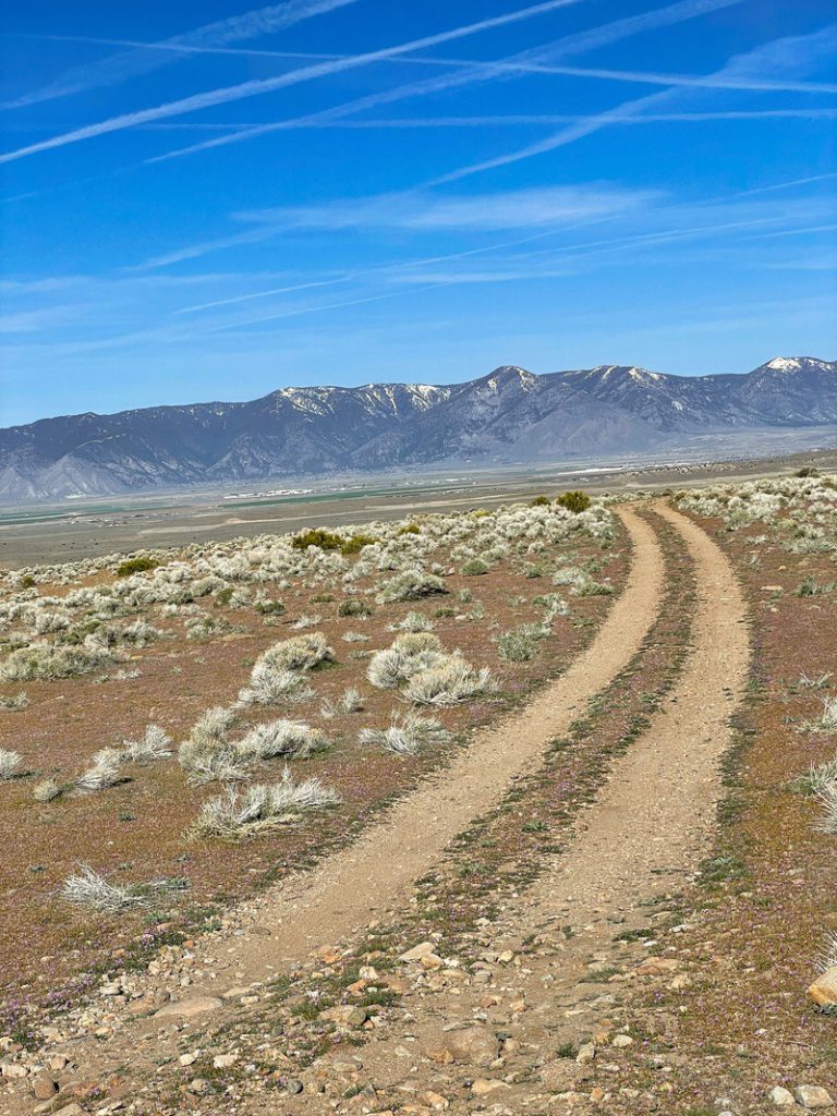 Off roading with Carson Valley Tours