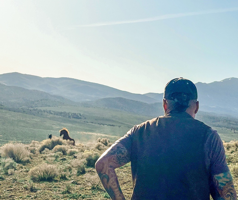 Respecting the wild horses of Carson Valley, Nevada