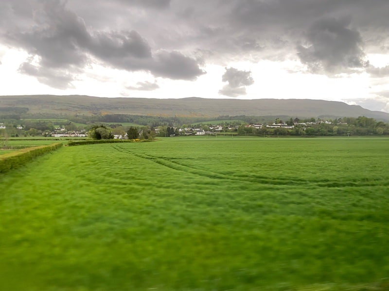 Ireland is so green!
