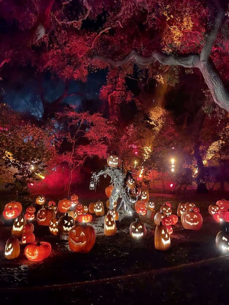 Spooky, Not Scary, Halloween in Los Angeles