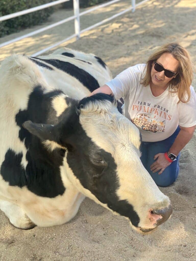 Zanne from WhereGalsWander hugs a cow at Gentle Barn