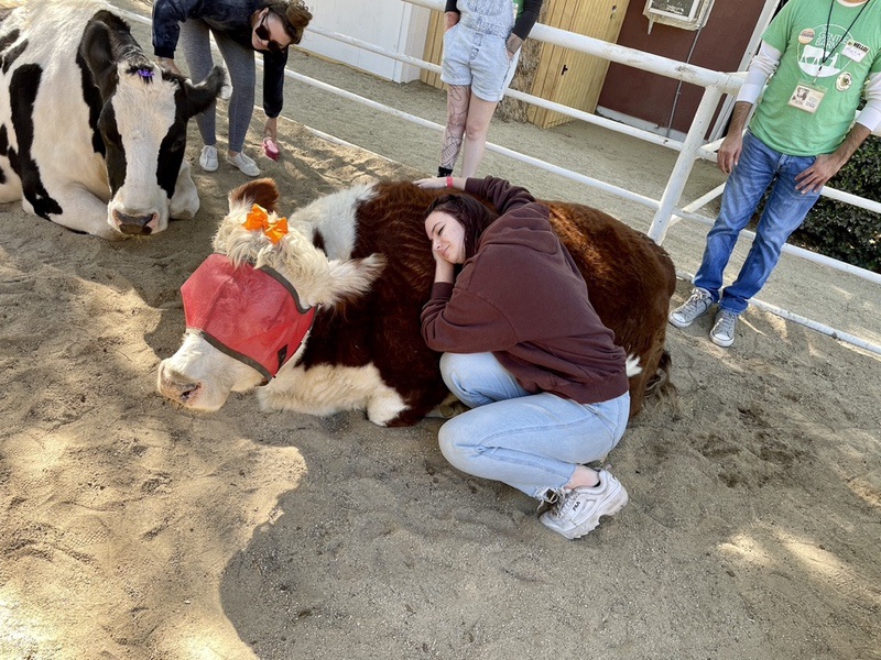 Anya from WhereGalsWander hugs a cow at Gentle Barn