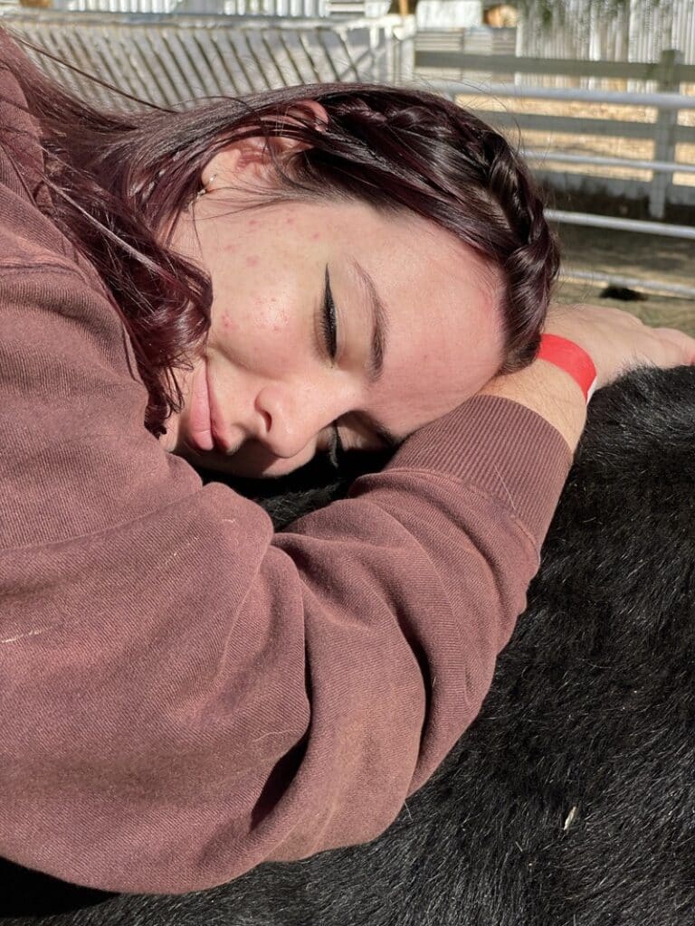 Anya hug a cow at Gentle Barn