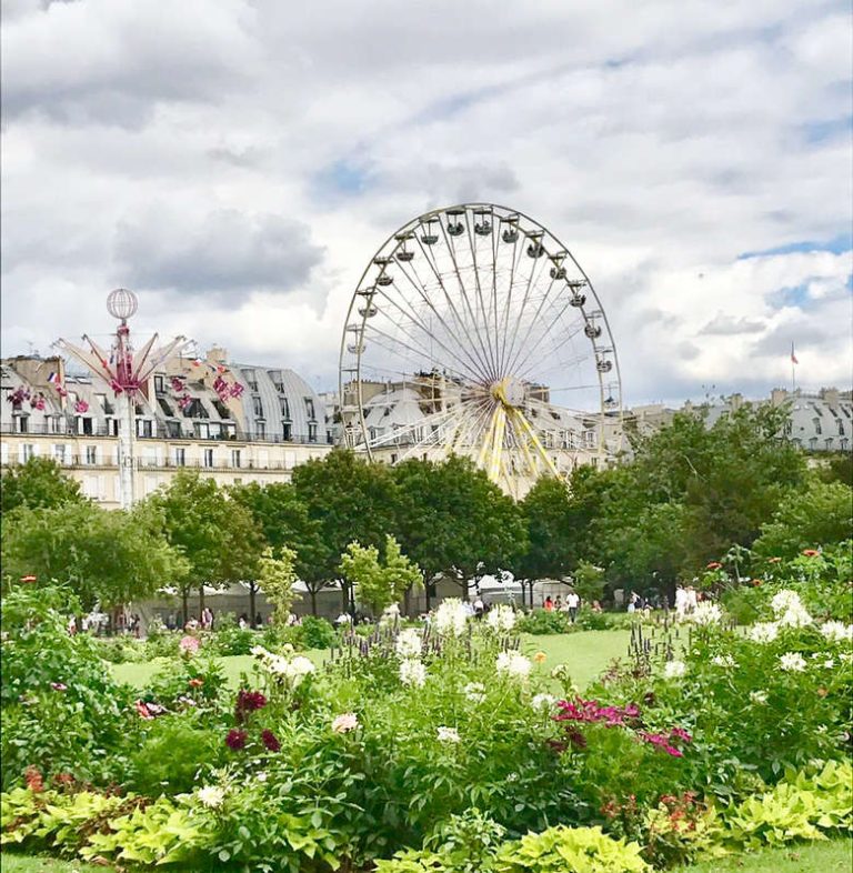 Wanders into Paris, Photographs Everything